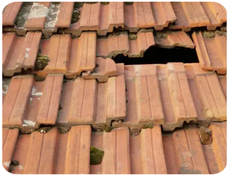 Fuite Toiture Mise Hors D'eau Mazé-Milon Maine-et-Loire