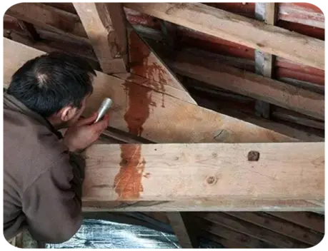 Fuite Toiture Couvreur Loire-Authion Maine-et-Loire