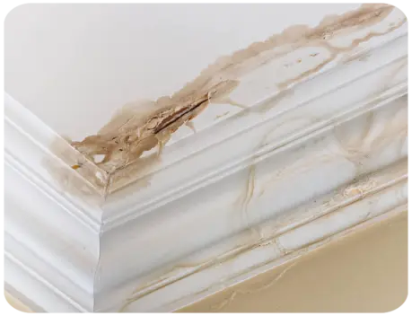 Infiltration d'eau toiture Loire-Authion Maine-et-Loire